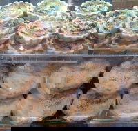 Red Fox Coffee Lounge - Renee