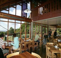 blackwood gully tea room - Swimm