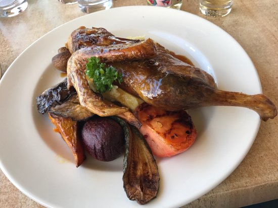 Food Delivery Eurobin ACT Swimm