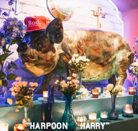 Hotel Harry - Swimm