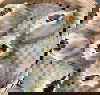 Fang Dumpling House - Swimm