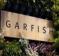 Garfish - Renee