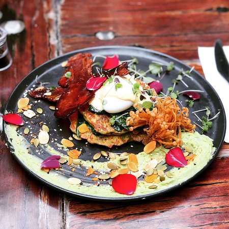 Dove At Dover - Renee 0