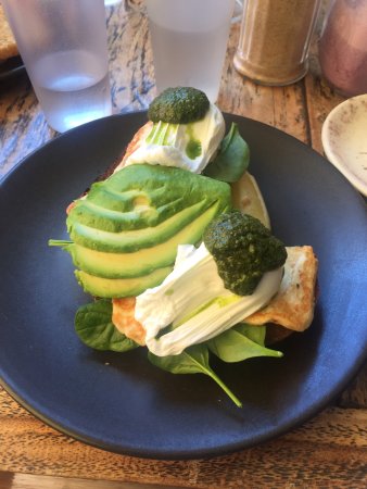 Coogee Courtyard - Swimm 0