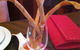 Pear Thai Restaurant - thumb 0