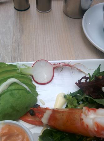 JJ's Cafe Restaurant - Renee 0