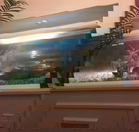 Chans - Qld Realsetate