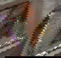 Myssy's Fresh  Cooked Seafood - Renee