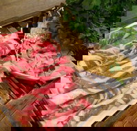 Spicy Orient - Renee