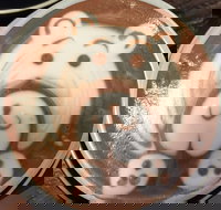 Deli in the Park Cafe - Qld Realsetate