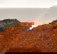 Pizza On Lomond - Renee