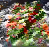 Spuds Fish Moorebank - Swimm