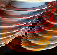 Sushi Dragon - Renee