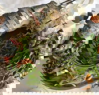 Bach Dang Vietnamese Restaurant - Qld Realsetate