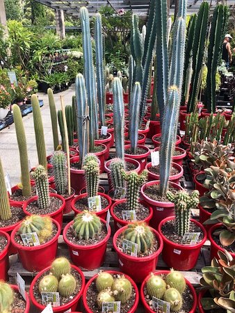 Food Delivery Gateshead NSW Qld Realsetate