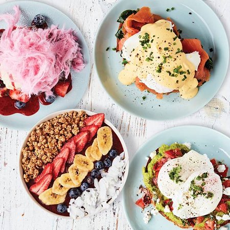 Rashays Penrith - Swimm 0