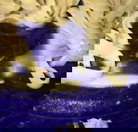 Leumeah Pizza - Renee