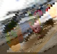 Oysters on the Bay - Renee