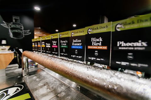 The Duck On Clarence - Swimm 0