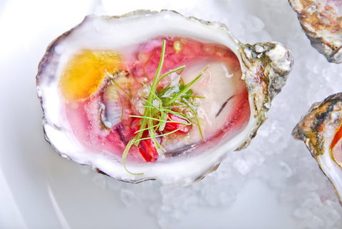 The Stunned Mullet - Swimm 0