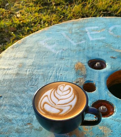 My Mate's Place - Renee 0