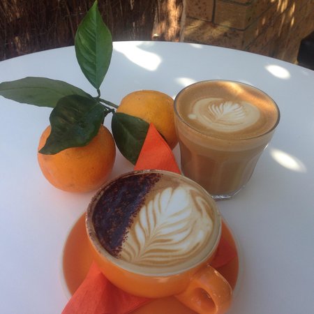 The Orange Tree - Licensed Cafe By The River - Swimm 0