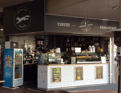 Brother Fox Espresso - Swimm 0