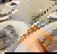 Cafe Mia - Qld Realsetate