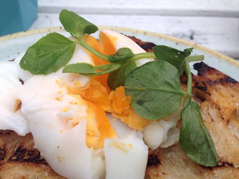 Clovelly Hotel - Swimm 0