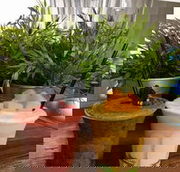 Brighton St - Takeaway - Renee