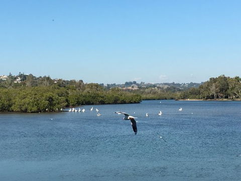 Thai On The River - Swimm 0