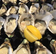 The Oyster Shed