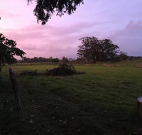 Charcoal Chicken - Internet Find