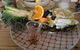 Yum Yum Angourie Cafe And General Store - thumb 0