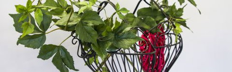 Beauty2aT - Qld Realsetate 4