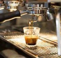 Black Bear Cafe - Renee