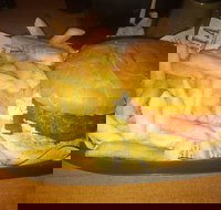 Finn  Co Cafe - Renee