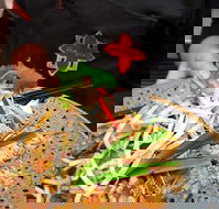 Thai Square Springwood - Renee