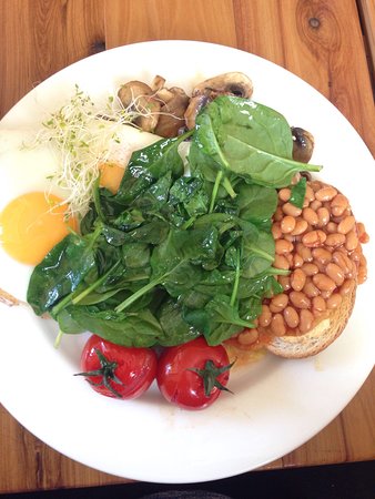 Muswellbrook NSW Qld Realsetate