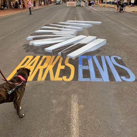 Wholesome Blend - Renee 0