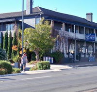Coachwood  Cedar Motor Hotel Restaurant - Swimm