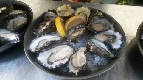 Hamilton's Oyster Bar - Internet Find 0