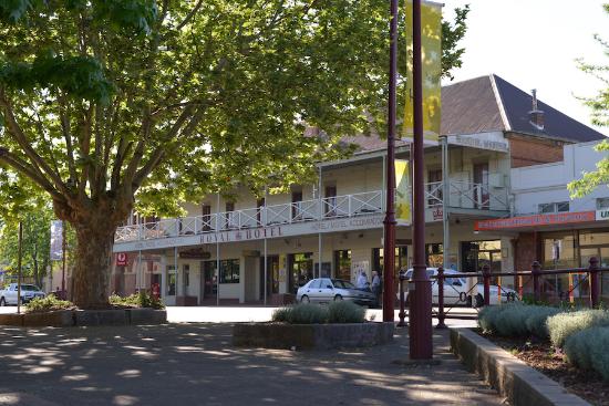 Tumorrama NSW Internet Find