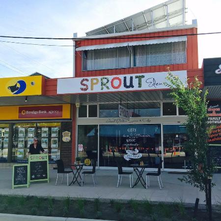 Sprout Eden - Renee 0