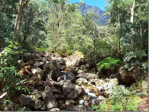 Star Chinese Restaurant - Swimm 0