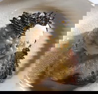 The Magpie Cafe - Renee