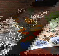 Colony Inn Hotel - Renee