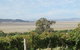 Lerida Estate - thumb 0