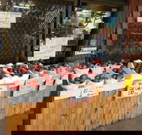 The Pines Orchard - Renee