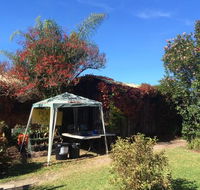 Tutti Fruitti - Renee